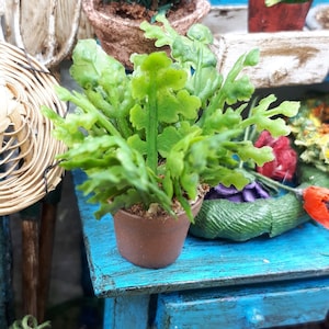 Miniatura 1/12 or 1/6 Ceramic pot plant  to decorate our dollhouses.