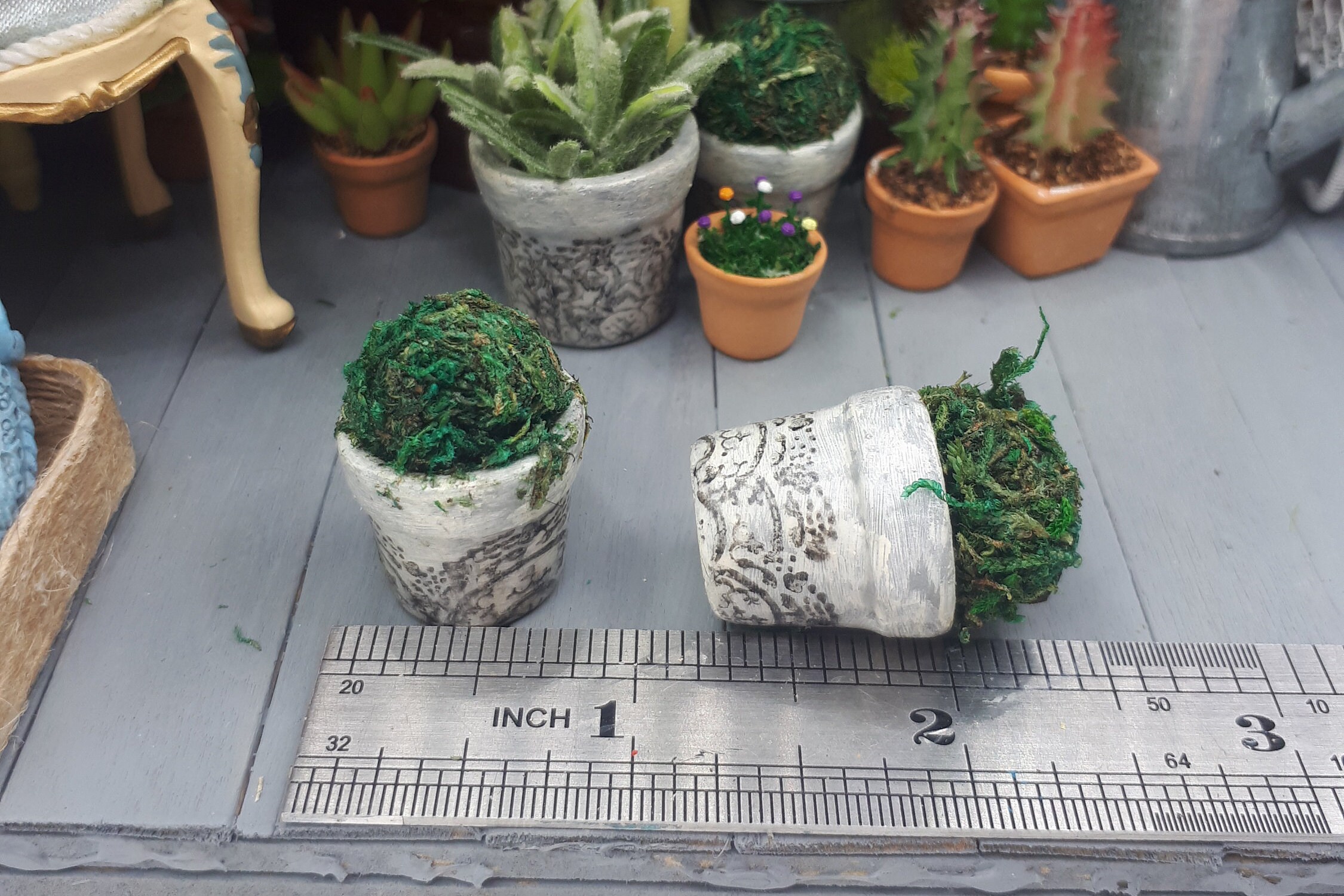 2 plantes miniatures avec étui, maison de poupée de jardin miniature à 2 plantes miniatures avec étui, maison de poupée de jardin miniature à