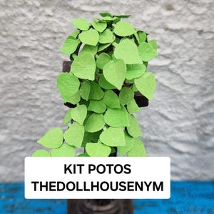 POTOS DIY Kit – 1:12 Scale for Dollhouses
