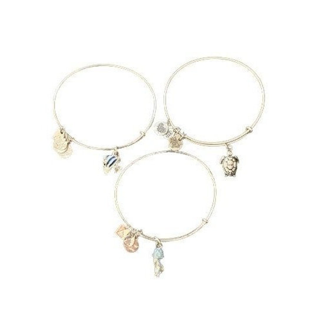 Alex and ani turtle set best sale