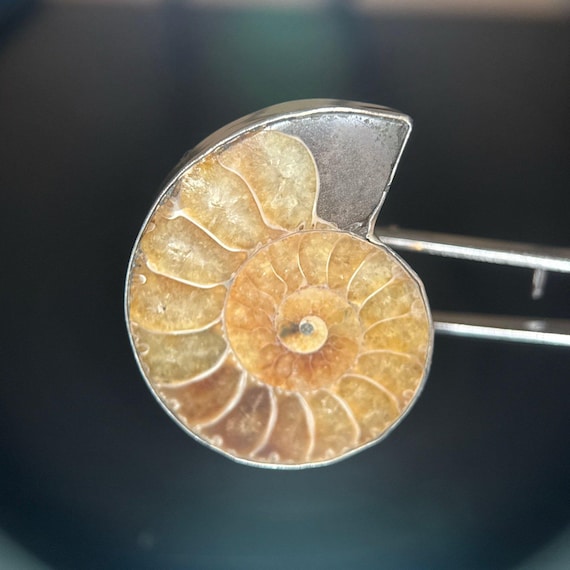 950 Silver Coiled Shell Ring - image 2