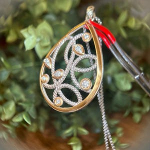 May include: A gold and silver pendant necklace with a teardrop design. The pendant has a gold border, silver rope detailing, and clear gemstones. The necklace is shown against green foliage.