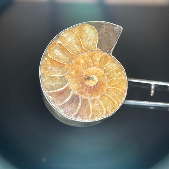 950 Silver Coiled Shell Ring - image 3