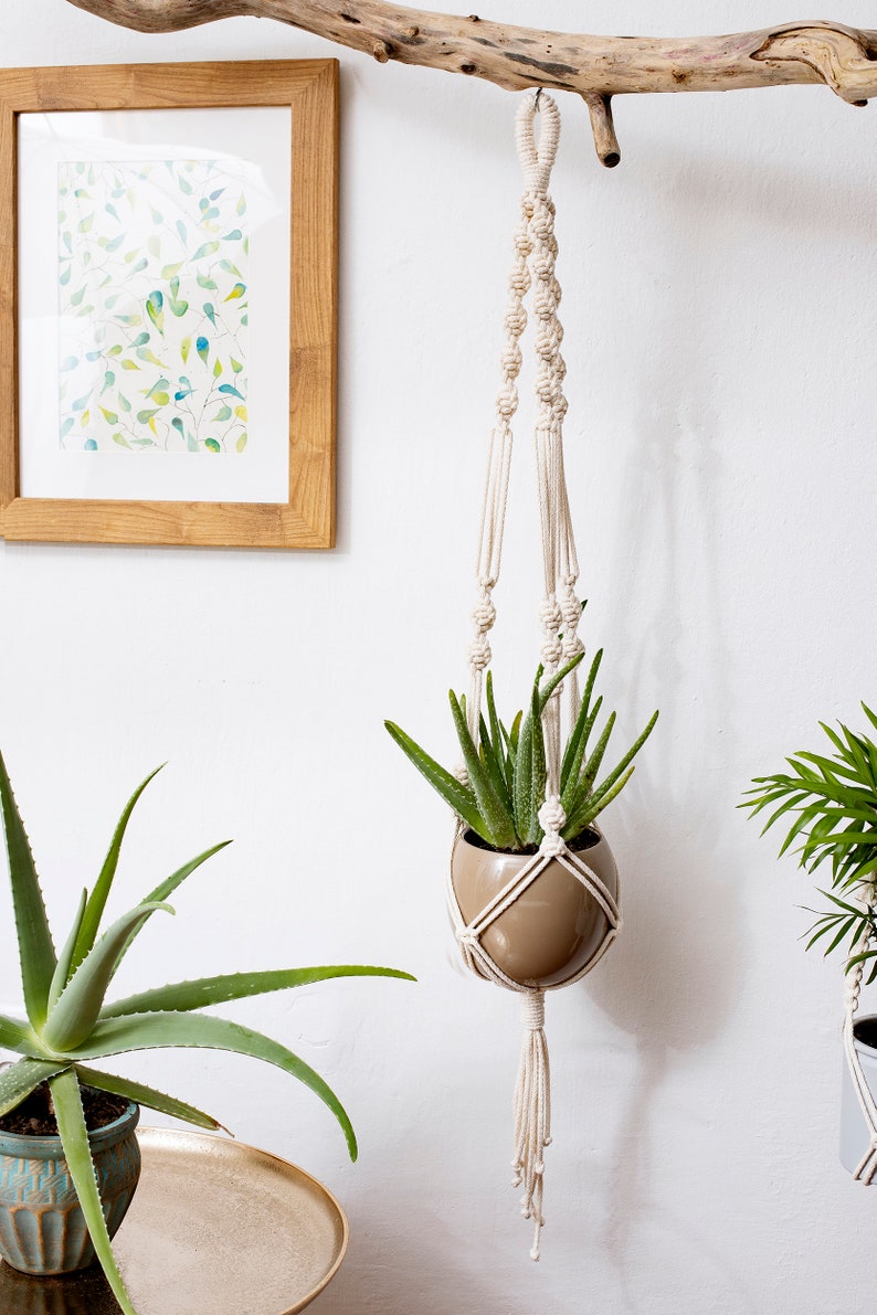 Macrame hanging plant holders set of 3 recycled cord plant holder sustainable living pot hanger herb garden pot image 2