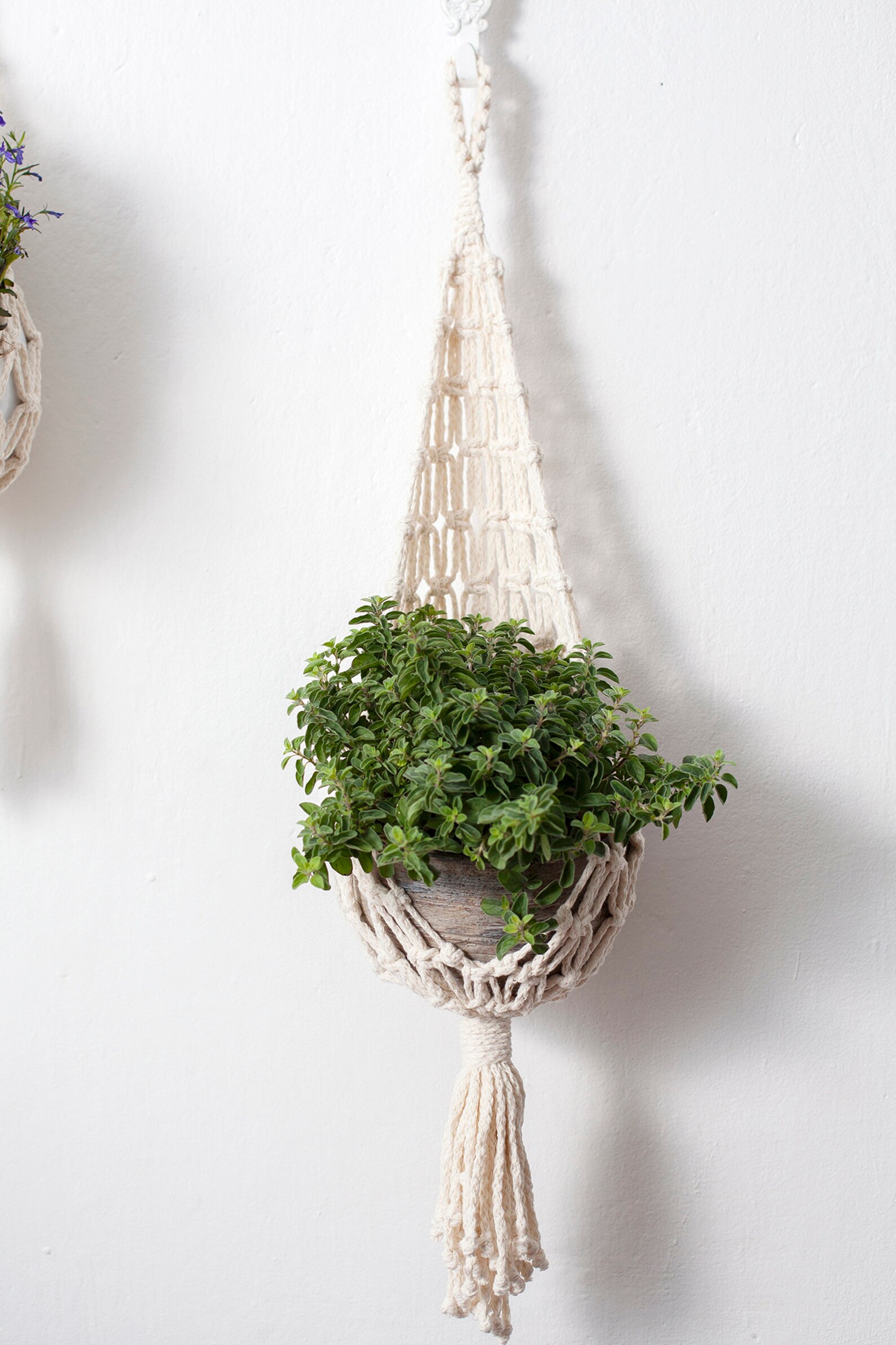 Macramé Wall Hanging Plant Hanger Knotted Small Plant Stand Etsy