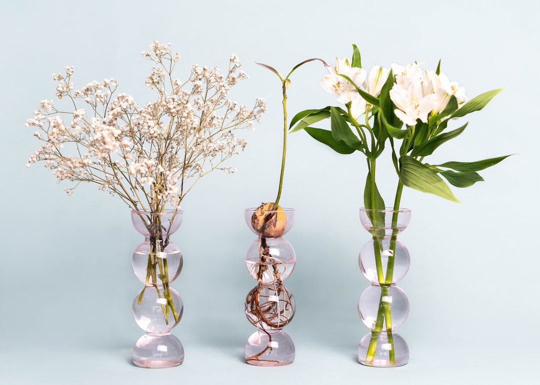 Pink Propavase Bubble Bulb Propagation Vase for Avocados Etsy UK