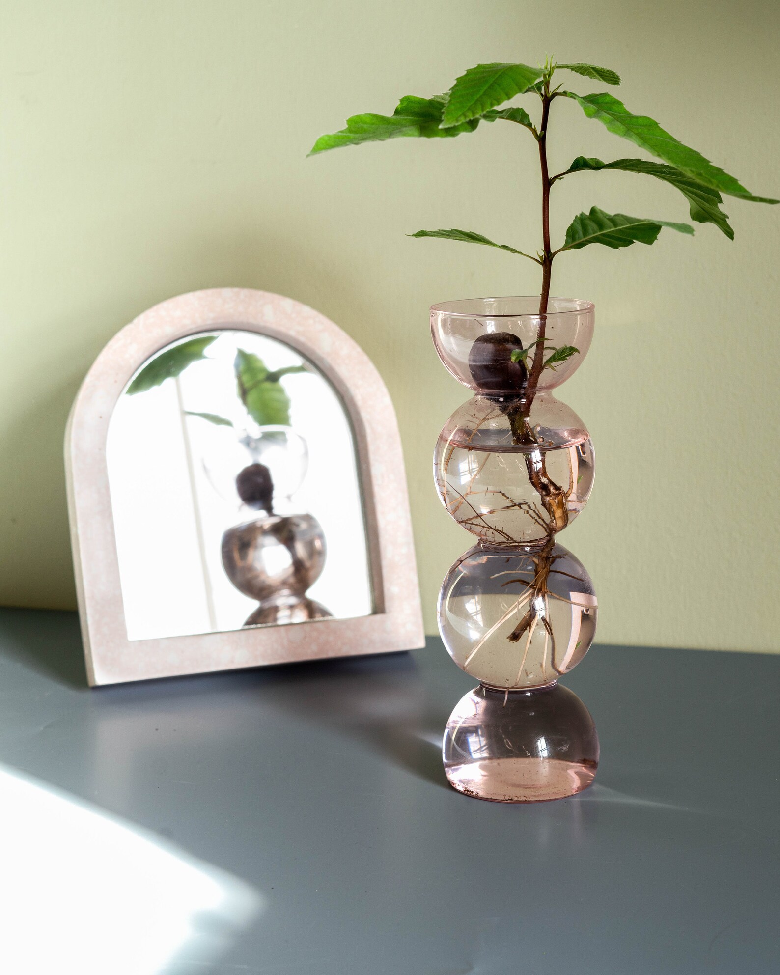 Pink Propavase Bubble Bulb Propagation Vase for Avocados Etsy UK