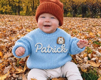 Può includere: Un maglione in maglia azzurro con il nome Patrick in corsivo bianco e una piccola toppa a forma di riccio, abbinato a un berretto a coste color arancio bruciato e pantaloni color crema, indossato da un bambino seduto tra le foglie autunnali.