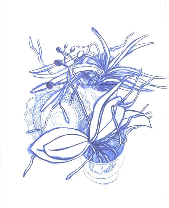 Air Culture Orchids Original Ink Drawing Etsy