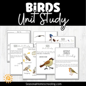 Exploring Avian Wonders: Comprehensive Bird Unit Study - Homeschool, Classroom Learning