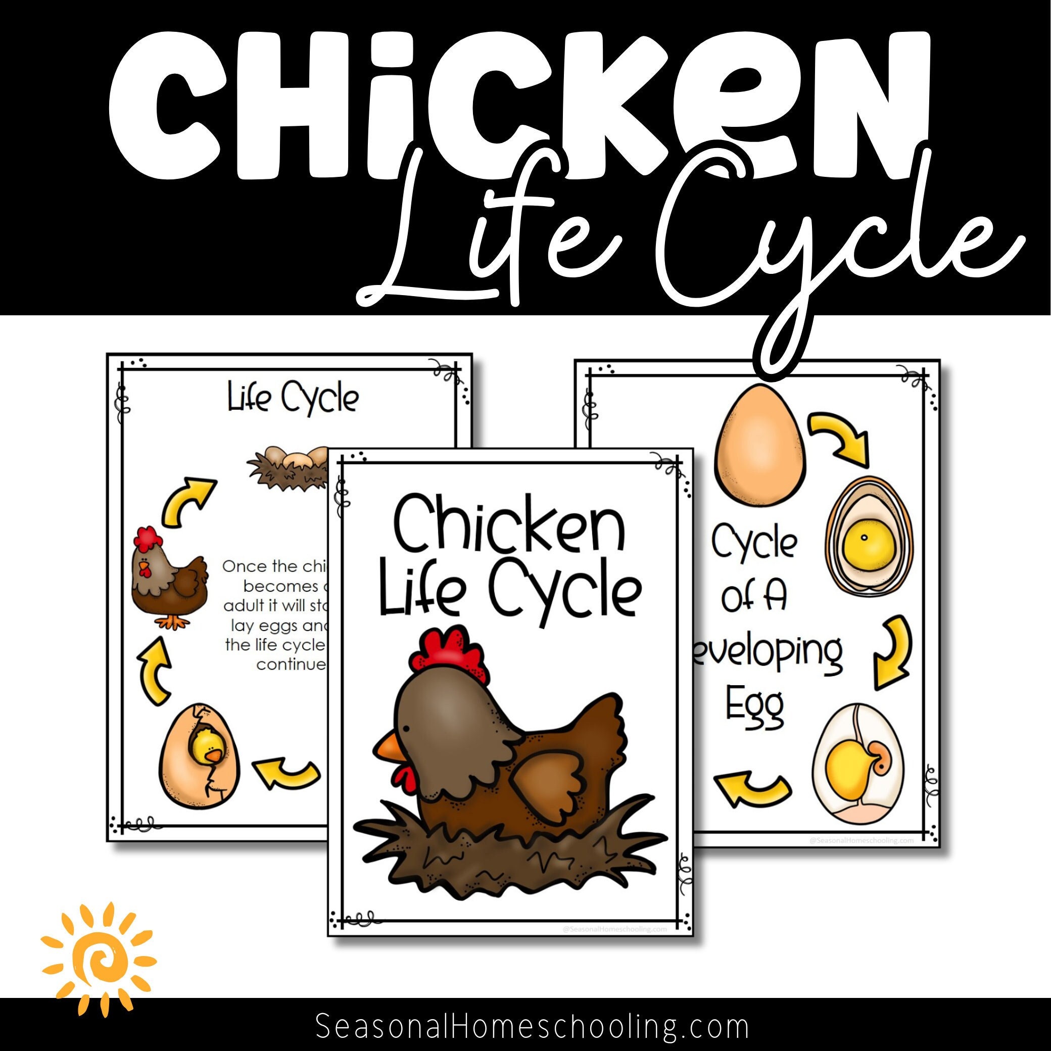 Chicken Life Cycle Printables for Homeschool and Classroom Use Etsy