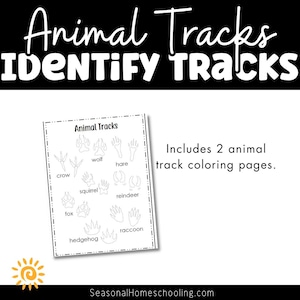 Animal Tracks Identify the Tracks, Educational print, Animal study, instant download