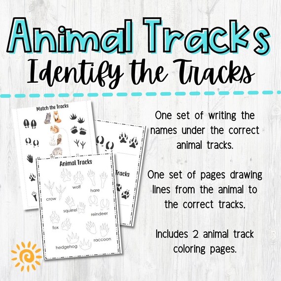 10 Fun Animal Tracks Coloring Pages for Learning and Fun