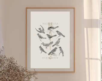 Matthew 6:26 Christian Printable Wall Art Illustration, "Look At The Birds", Minimal Simple Bible Verse Scripture Design, DIGITAL Download