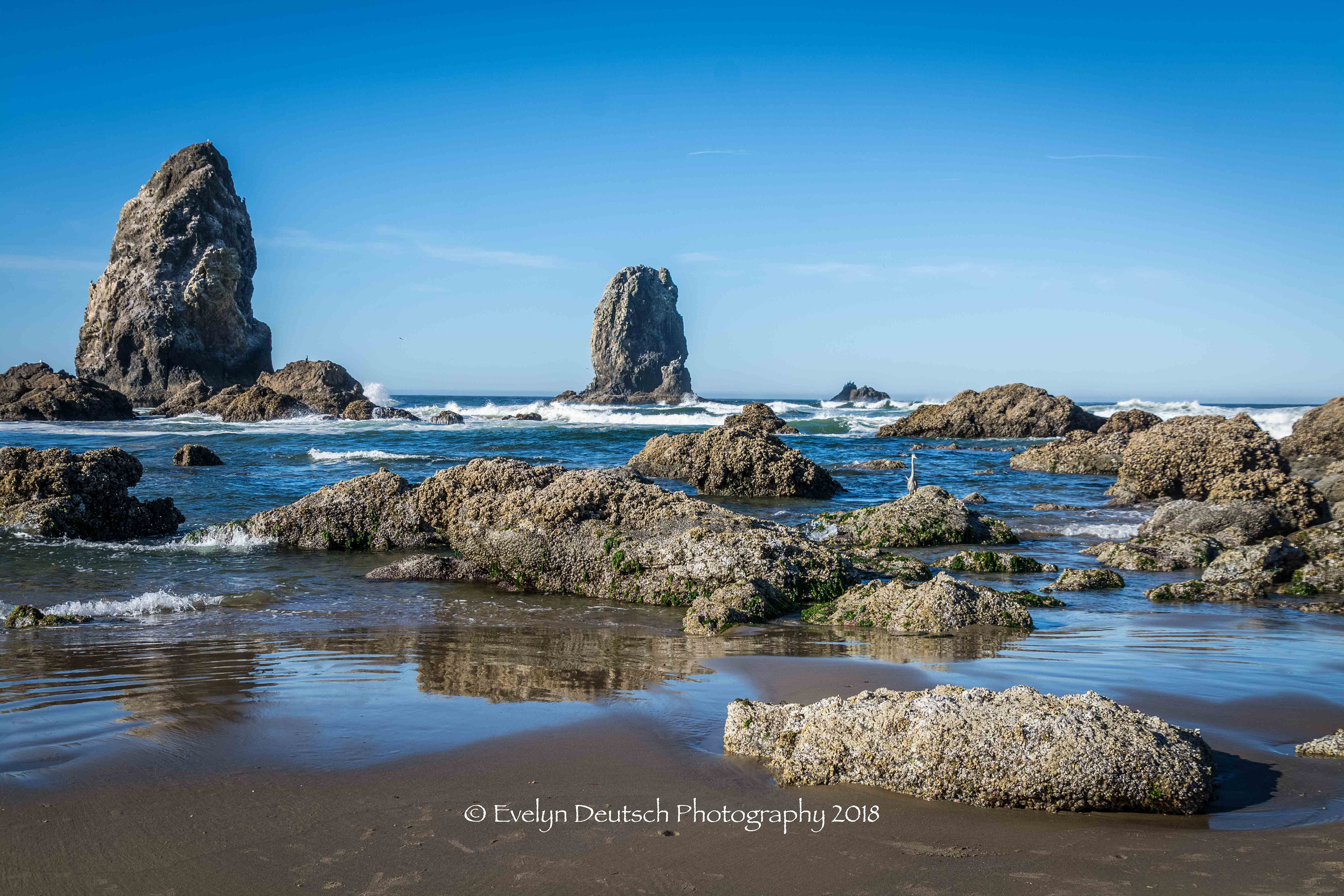 Low Tide Cannon Beach Oregon Coast PhotographyCoast Etsy
