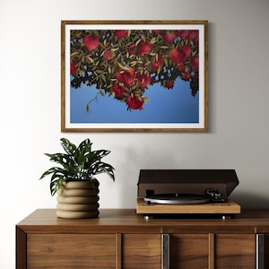 Pomegranates Fine Art Poster