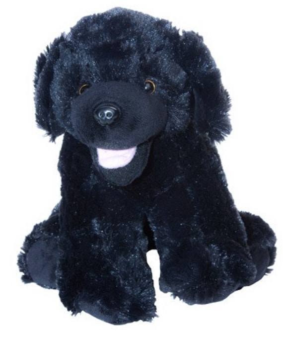 black lab teddy