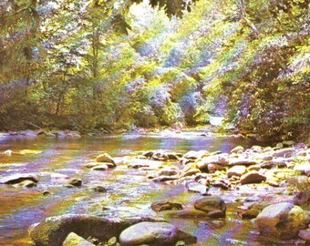 Vintage Davidson River Near Hendersonville, North Carolina, Stamped Postcard, 1976