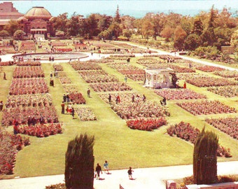 Vintage Unused Rose Garden at Exposition Park, Los Angeles, California Postcard