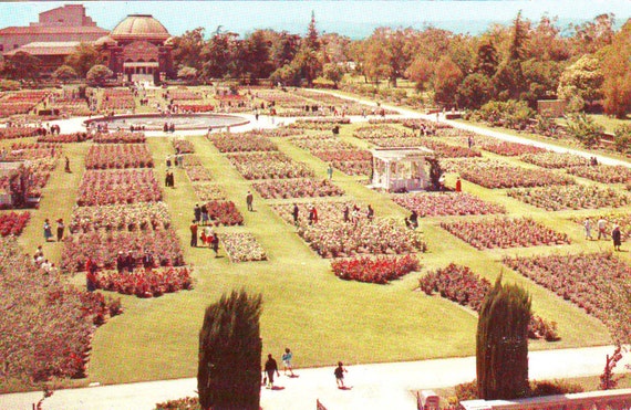 Vintage Unused Rose Garden At Exposition Park Los Angeles Etsy