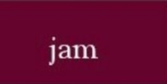 Vintage Pendleton Polyester Blouse in Misses Size… - image 4