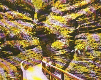 Vintage Moss Chamber in Cold Water Canyon in Wisconsin Dells Unused Post Card
