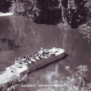 Vintage Duck in Wisconsin Dells Unused Post Card. Printed on Kodak Photo Paper