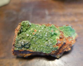 Bright Green Conicalcite Botryoidal Crystals w/ Clear Calcite Crystals | Cabinet Specimen Collectors Piece | Mineral Specimen #11