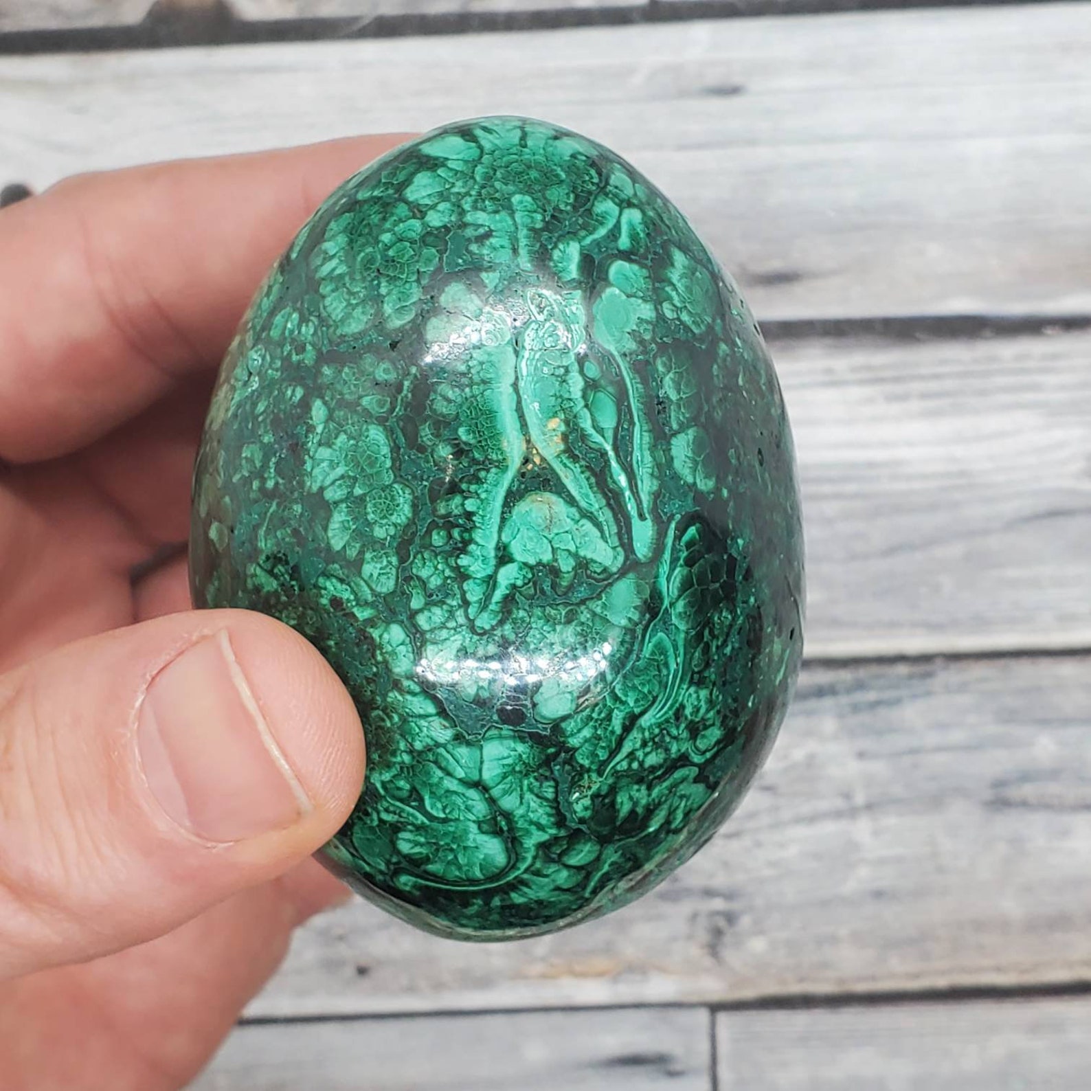 Large Polished Malachite Egg Deep Green High Quality Etsy