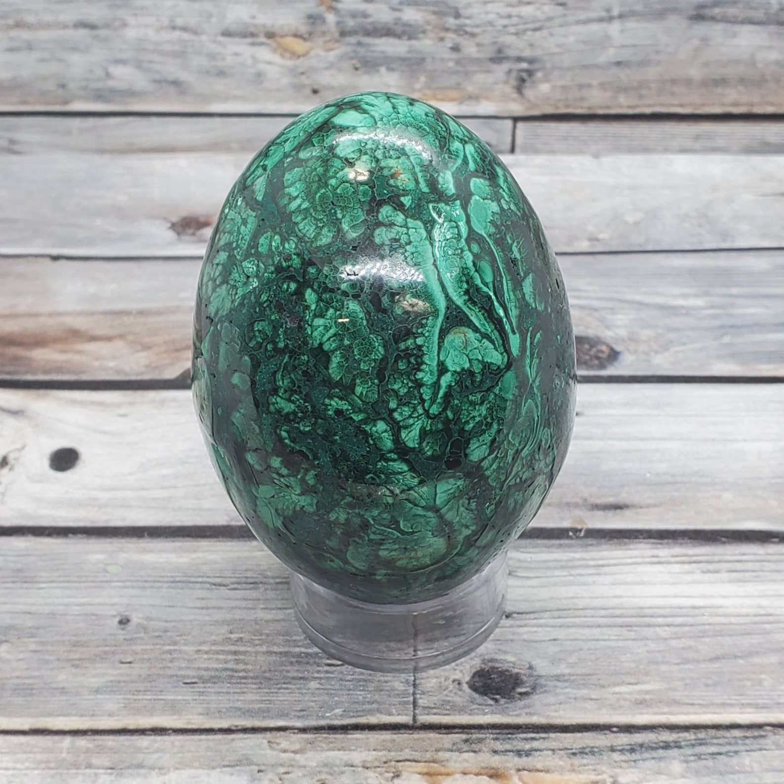 Large Polished Malachite Egg Deep Green High Quality Etsy