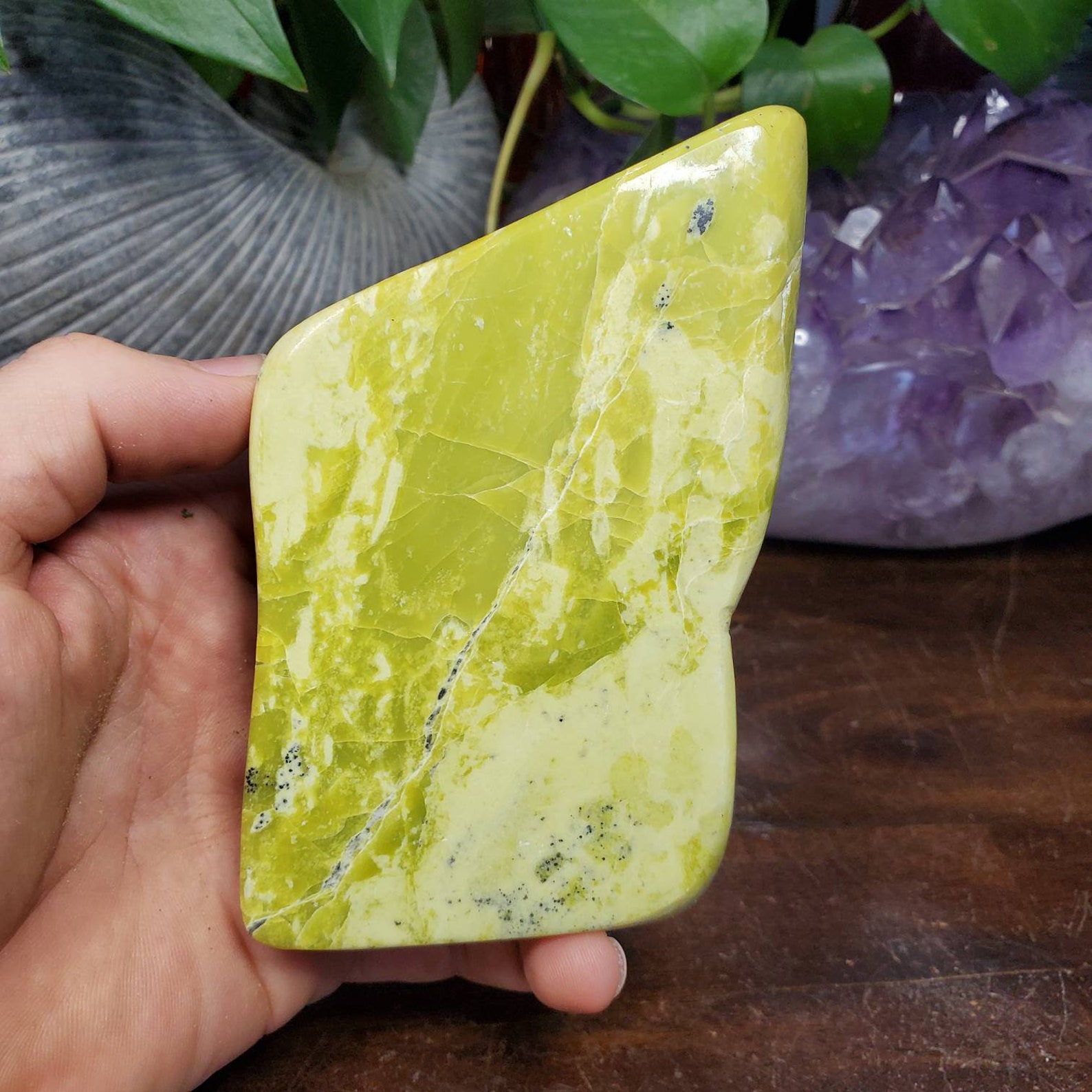 Green Serpentine Freeform Polished Serpentine Stone Display Etsy