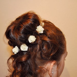 6 haarspiralen con rosas en el color rosa boda novia Joyas de pelo Curlie