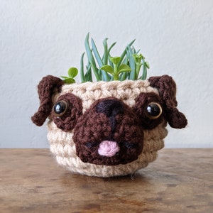 May include: A crocheted pug planter with brown ears, a brown nose, and large brown eyes. The planter is filled with green succulents.