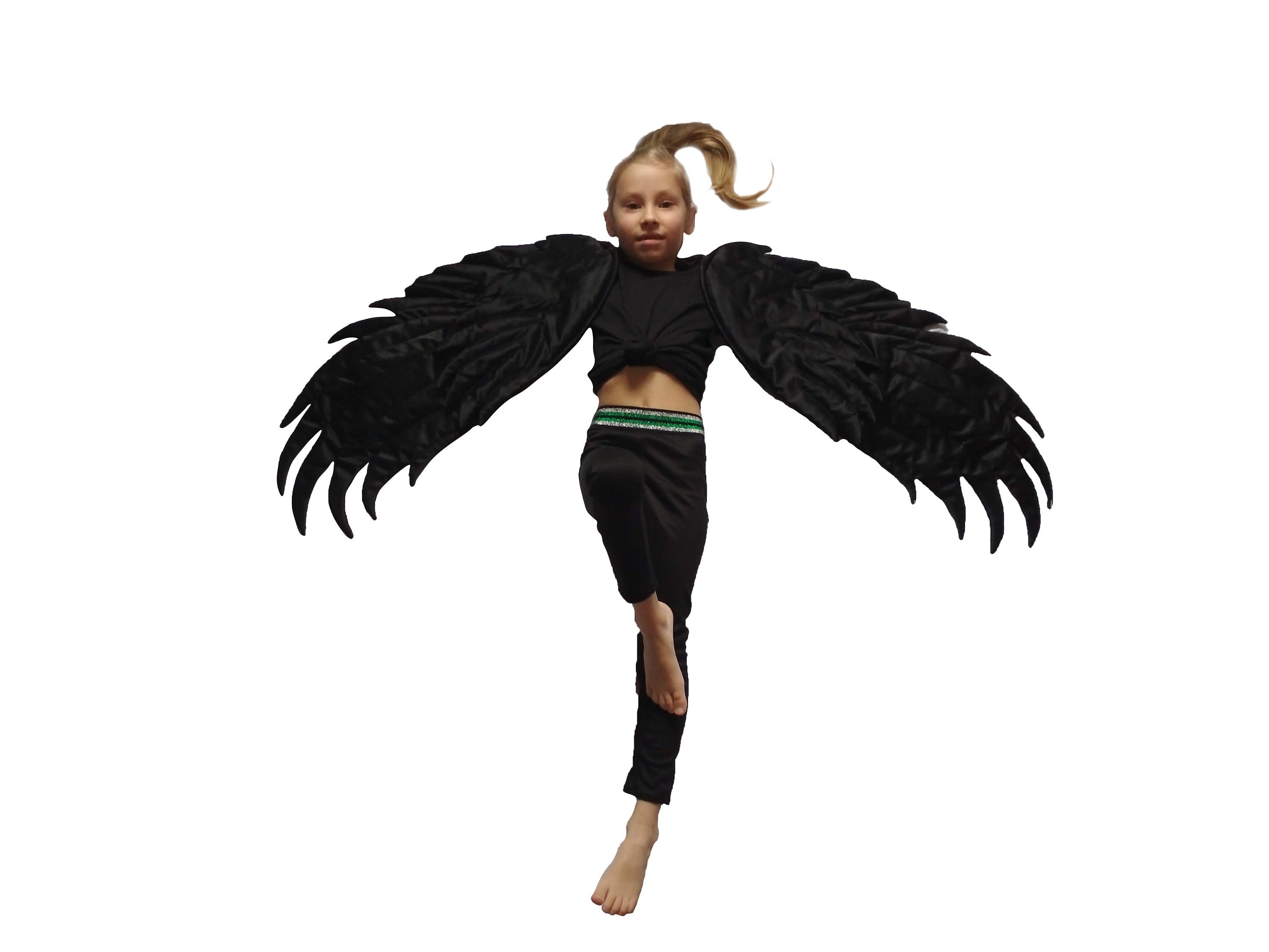 Black Swan Costume Wings
