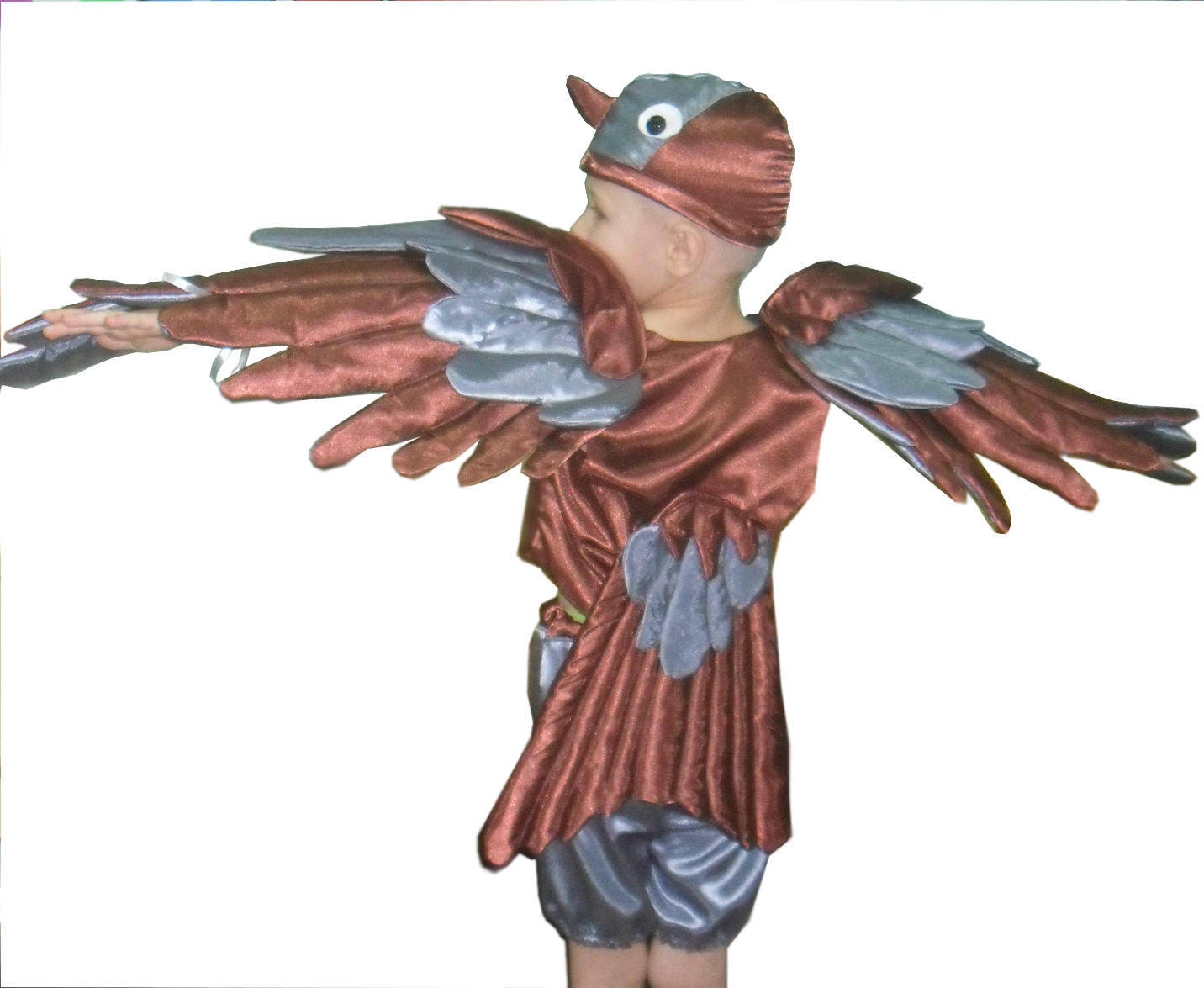Realistic Terror Bird Costume Flightless Bird Suit - Mcsdinosaur