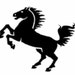 Owner of <a href='https://www.etsy.com/shop/DarkhorseArtisans?ref=l2-about-shopname&from_page=listing' class='wt-text-link'>DarkhorseArtisans</a>