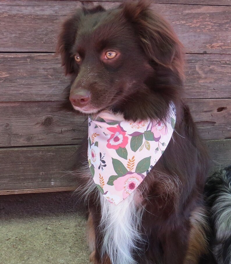Spring Bandana Reversible Dog Scarf Pretty Personalized Bandanna Flowers Summer Bandana Floral Dog Bandana