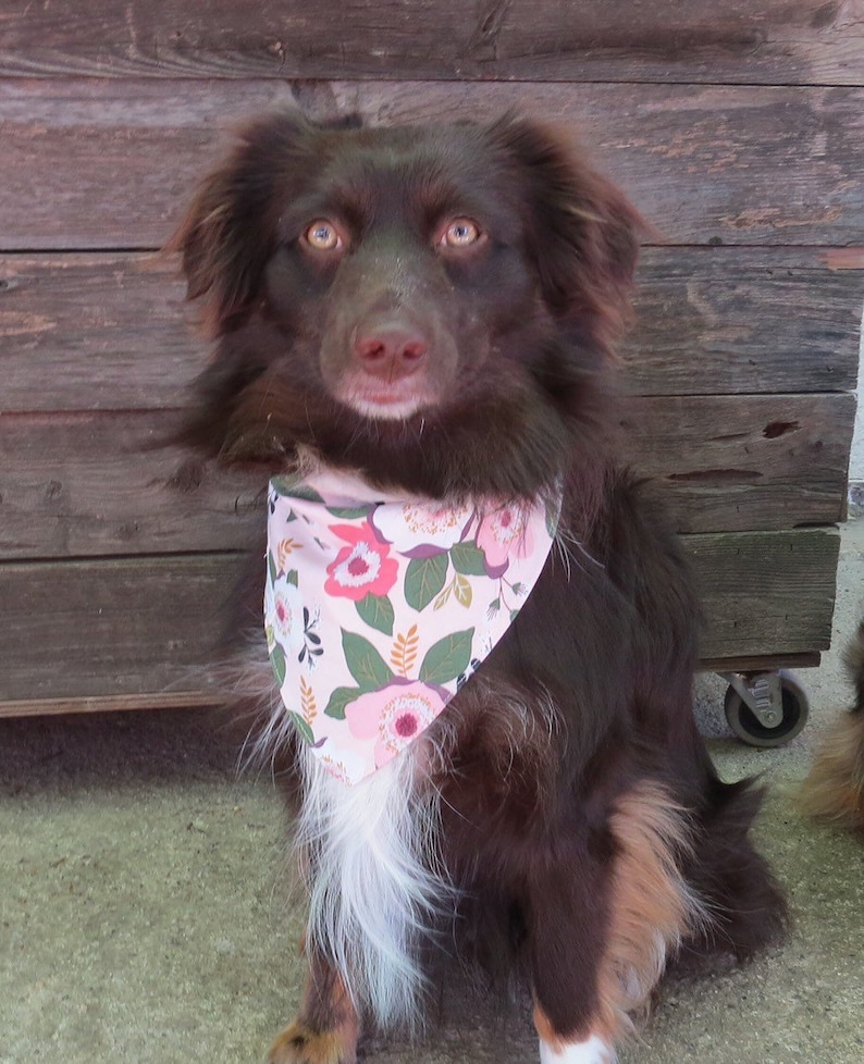 Spring Bandana Reversible Dog Scarf Pretty Personalized Bandanna Flowers Summer Bandana Floral Dog Bandana