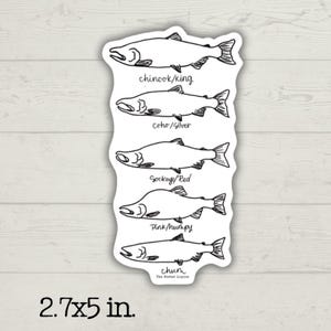 Salmon Species Sticker, dishwasher safe, Alaskan Sticker, Fishing Sticker
