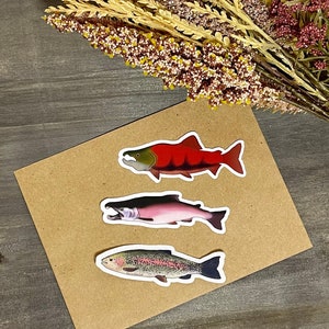 Pegatinas de salmón y trucha de Alaska / Pegatinas de vinilo resistentes al agua / Salmón real, salmón plateado o trucha arcoíris, peces de Alaska