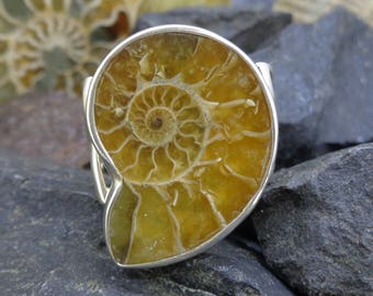 Anello celtico fossile di ammonite - argento sterling, nodi, insolito anello di dichiarazione a dimensione fissa, animale, storia, spedizione gratuita in tutto il mondo 8651