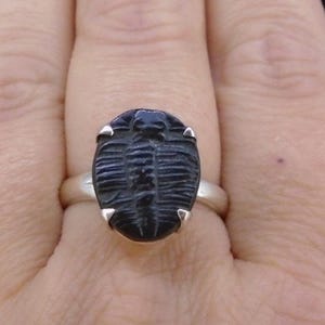 Elrathia Trilobite Fossil Adjustable Ring, 925 Sterling Silver Size O-U, Water Bug Ancient Jurassic, FREE WORLDWIDE DELIVERY