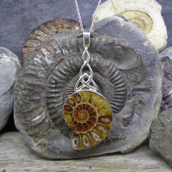 Madagascar Ammonite Fossil Pendant, 925 Sterling Silver, FREE WORLDWIDE DELIVERY Celtic Trinity Design, Scottish, Scotland, Two Skies (9227)