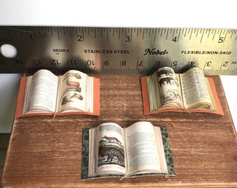 Miniature open books 1/12 scale