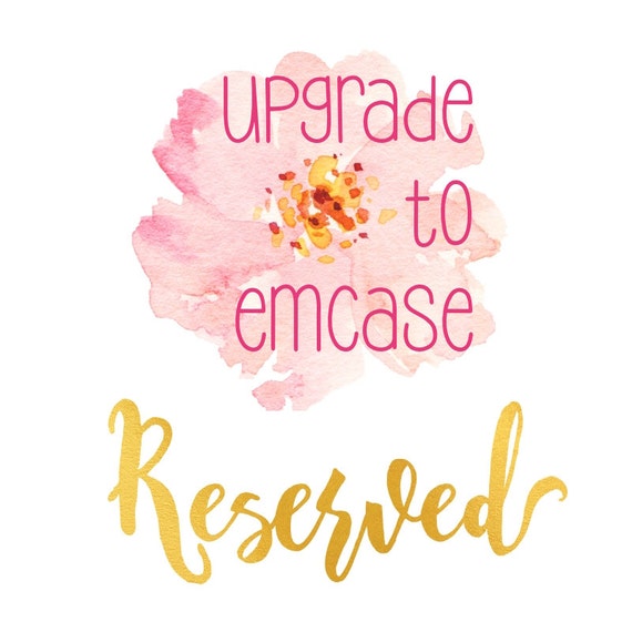 Upgrade to emCase