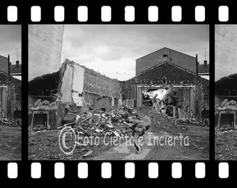 The Last Cinema in My City 1 (Fine art photography, photomontage, Tarzan, Johnny Weissmaller, Maureen O'Sullivan, elephants, adventures)