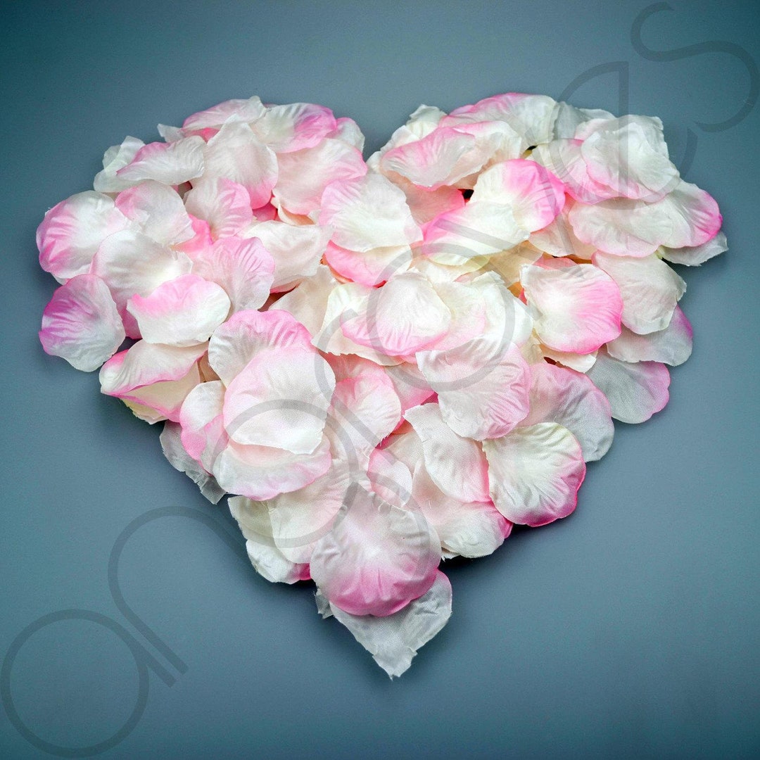 1000 Silk Rose Petal Flower Confetti Engagement Celebration Wedding ...