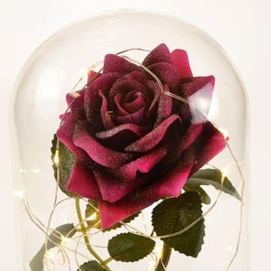 Handmade Magical Pink Enchanted Rose in Glass Dome Bell Jar with Pretty LED Lights 23cm H image 4