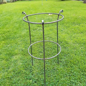 May include: A metal plant support with a circular top and base, supported by vertical rods. The support has a dark, weathered finish and is designed to provide structure for climbing plants. It stands on a green lawn.