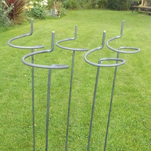 May include: Five metal plant supports with a spiral design. The supports are grey and are standing in a grassy area.